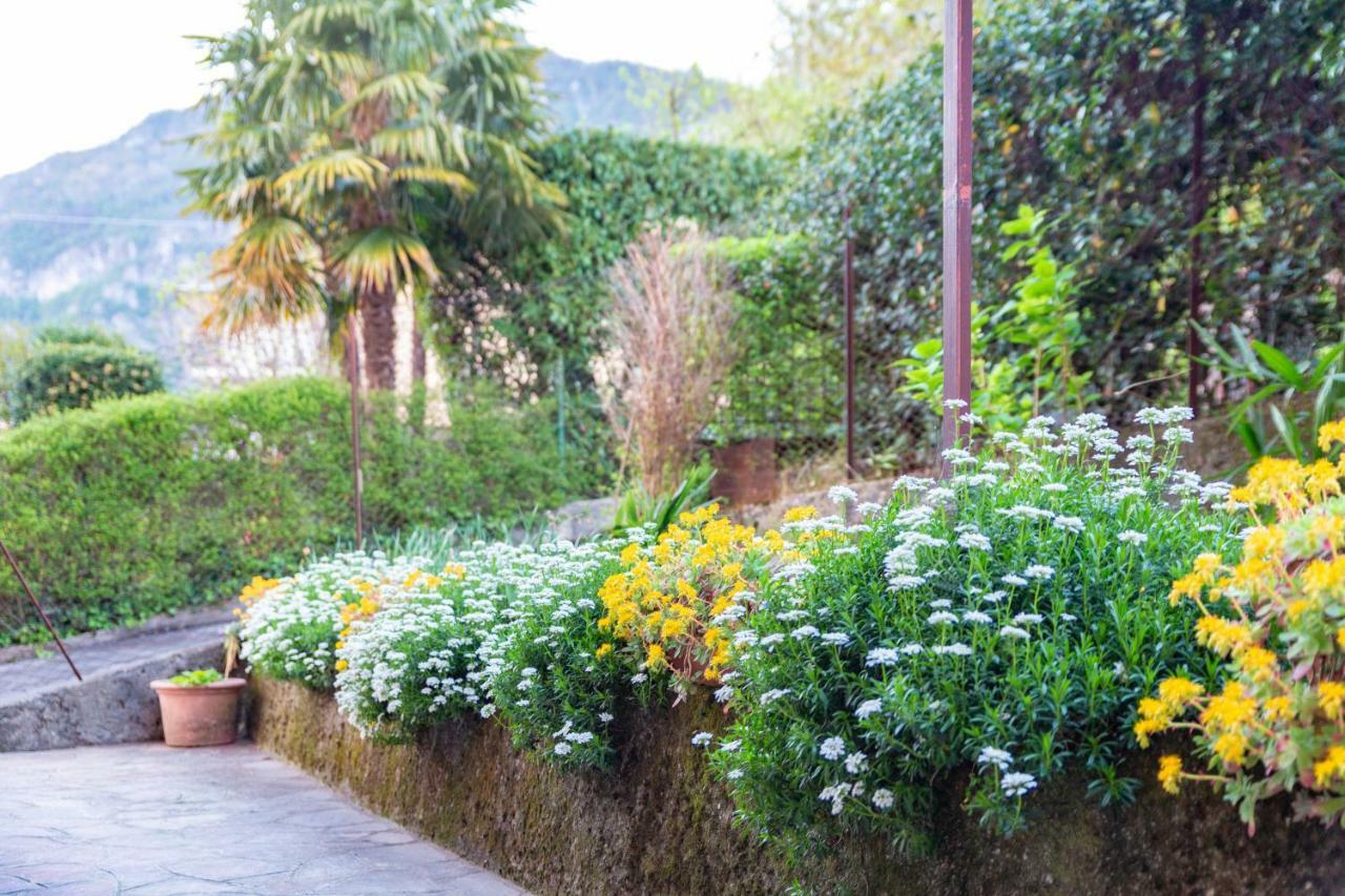 Apartamento Casa Alice  Lierna Exterior foto